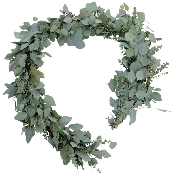 Primrue 72'' in. Fresh Eucalyptus Garland Wayfair